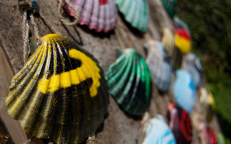 Jakobsweg Muscheln div. Farben